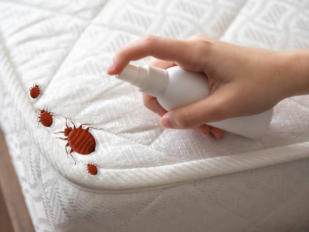 Professional Pest Control in Orange, VA